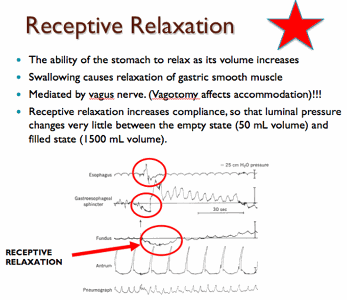 Receptive Relaxation