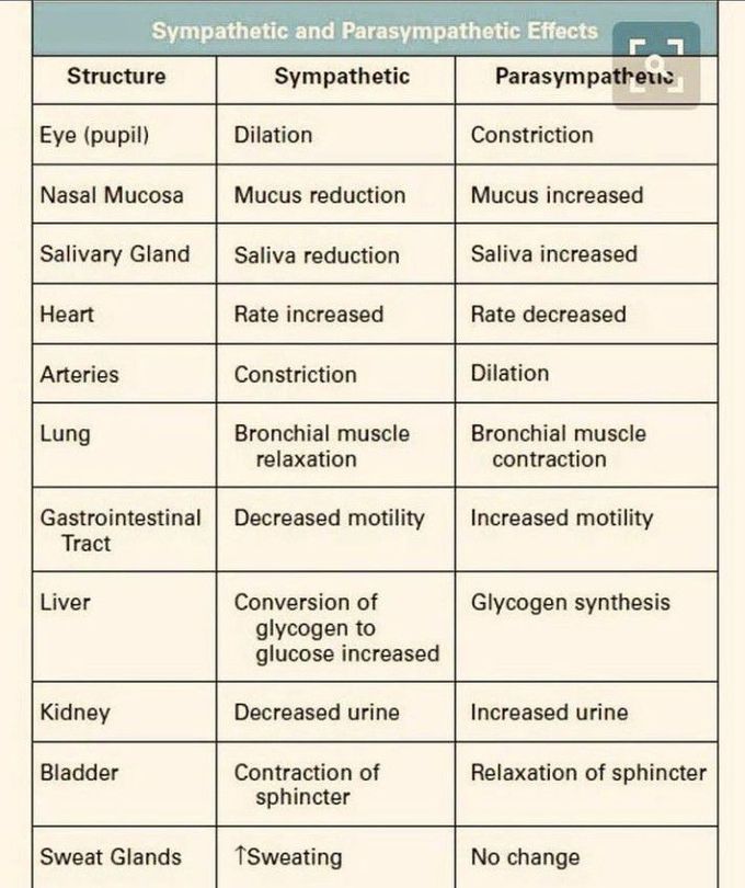 Sympathetic and parasympathetic effect