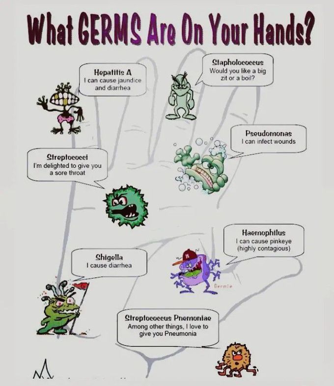 Germs on hands