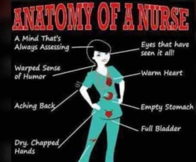 Anatomy of nurse