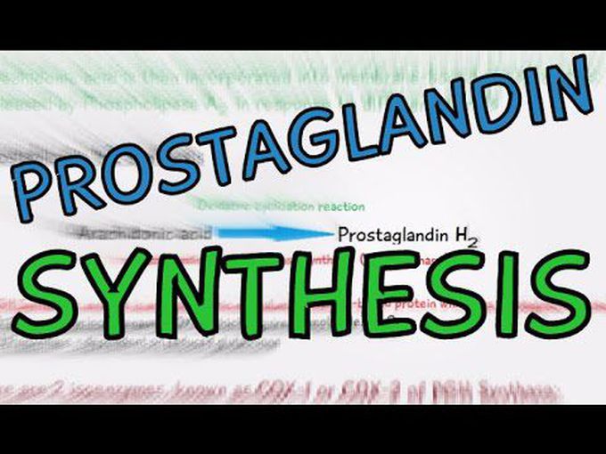 Introduction to the synthesis of prostaglandins