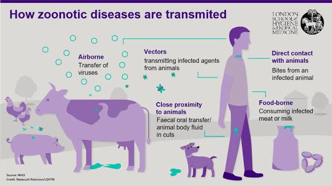 Zoonoses