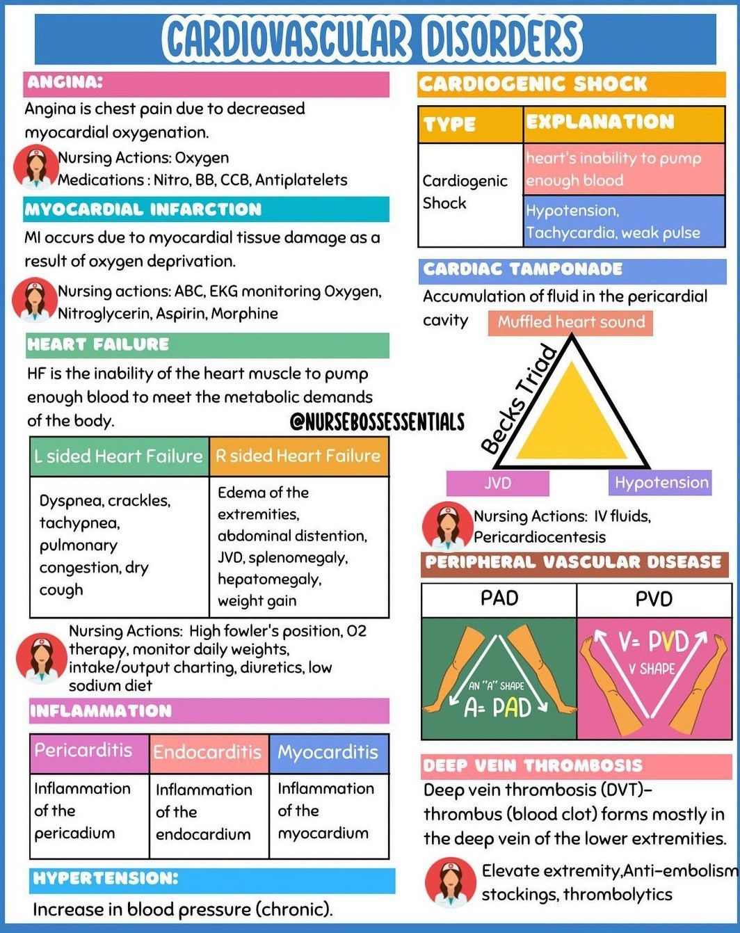 Cardiovascular Disorders - MEDizzy