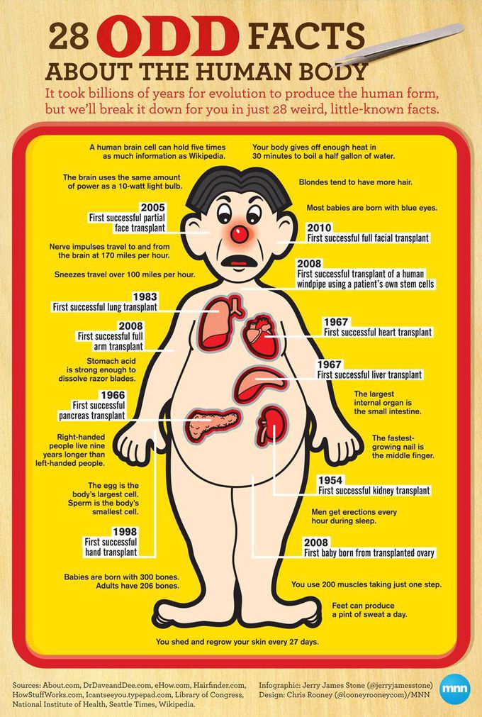 Facts about Human Body