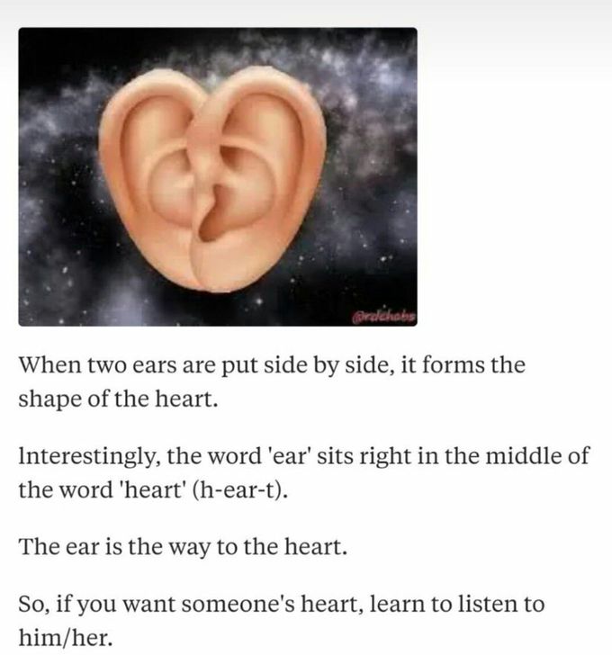 H-EAR-T
