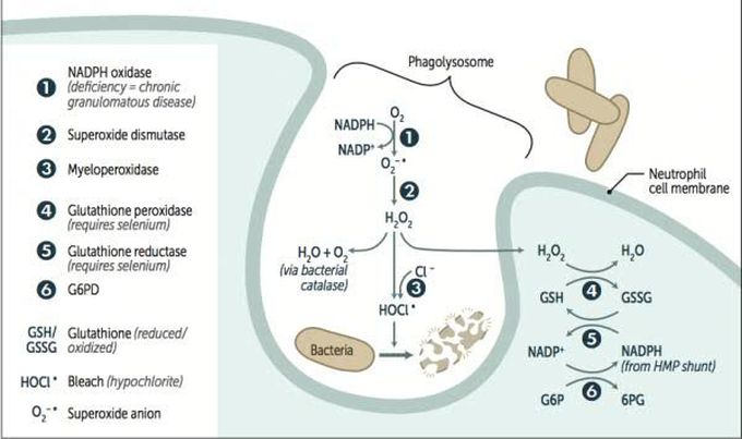 glutathione iv  montreal Montreal