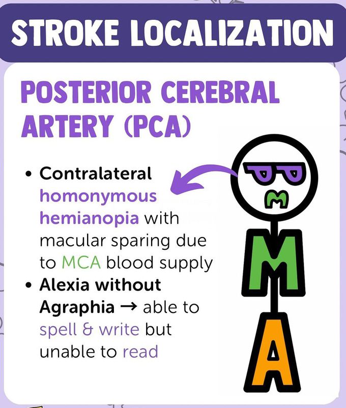 Stroke Localisation I