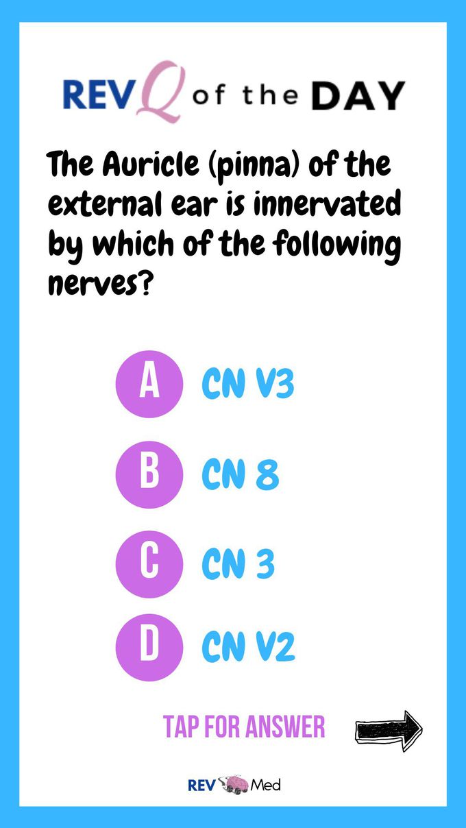 REV Q of the day!