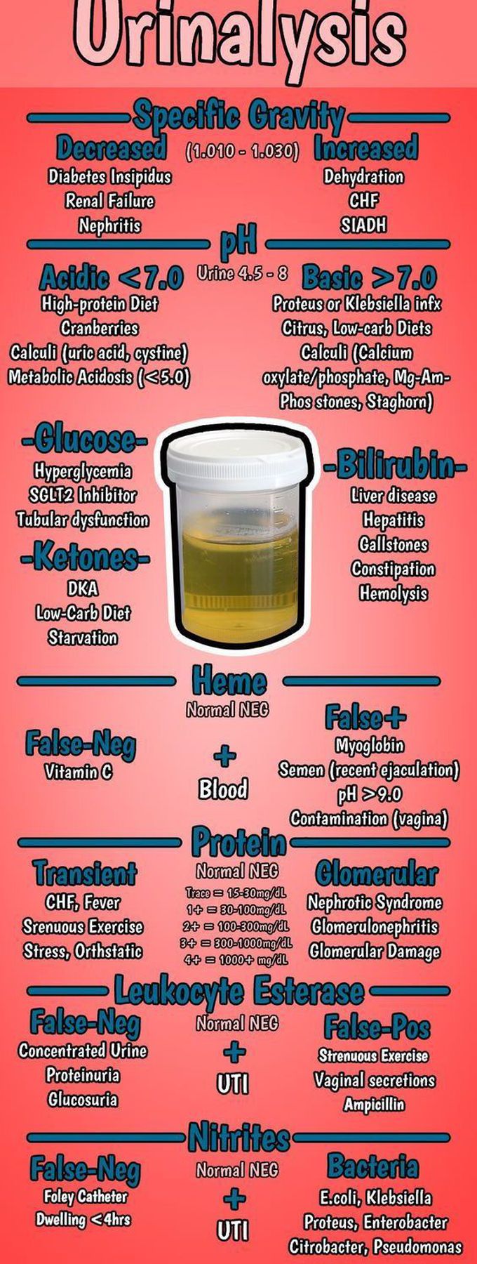 Urinalysis