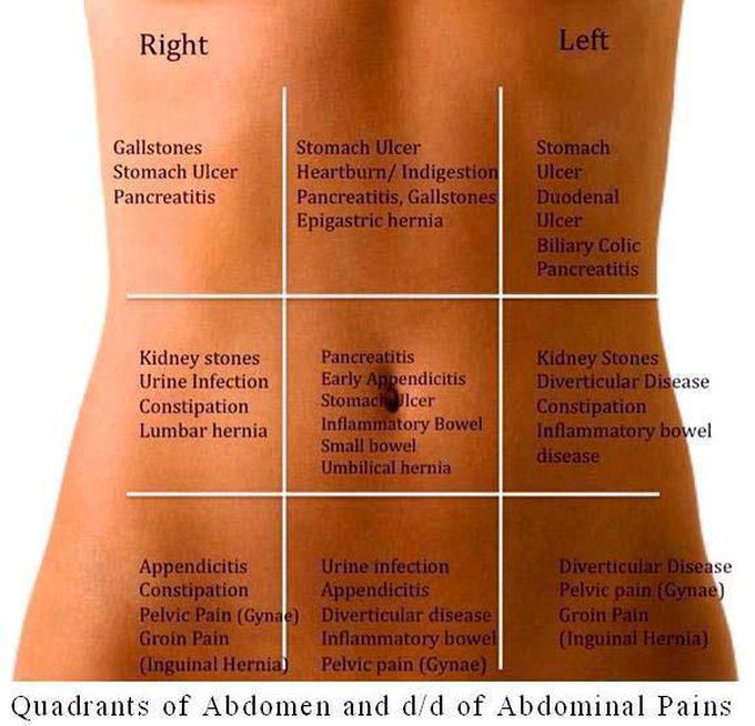 quadrants of adbdomen