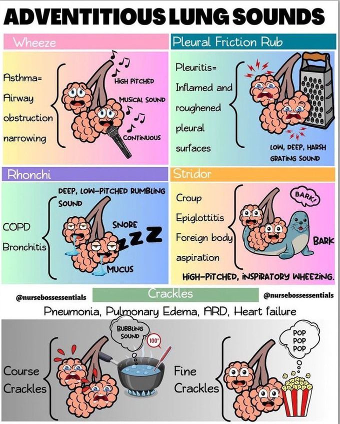 Adventitious Lung Sounds