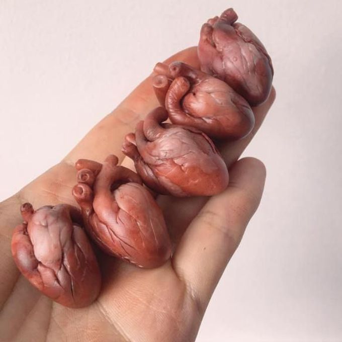 A CUTE VIEW OF TINY HEARTS
