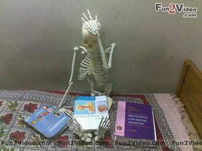 Life in medical school