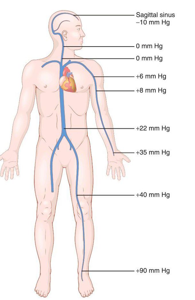 Venous pressure