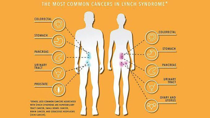 These are the most common cancers found in lynch syndrome