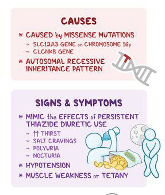These are the causes and symptoms of Gitelman syndrome