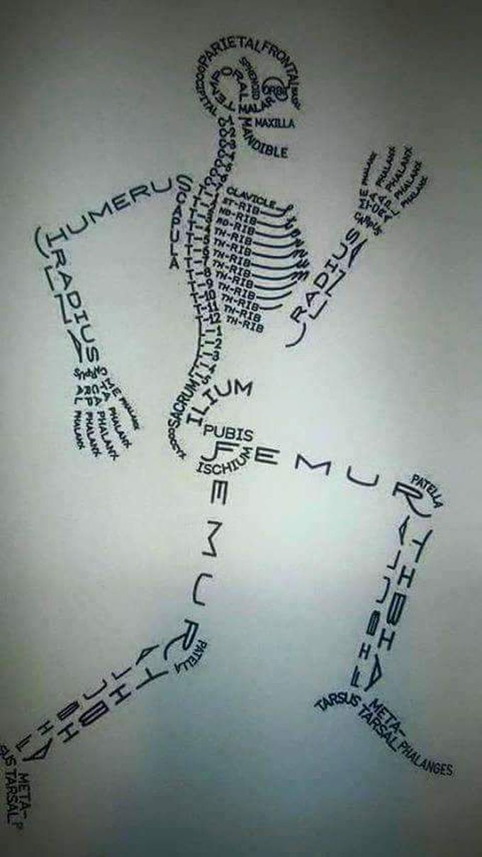 Skeleton system