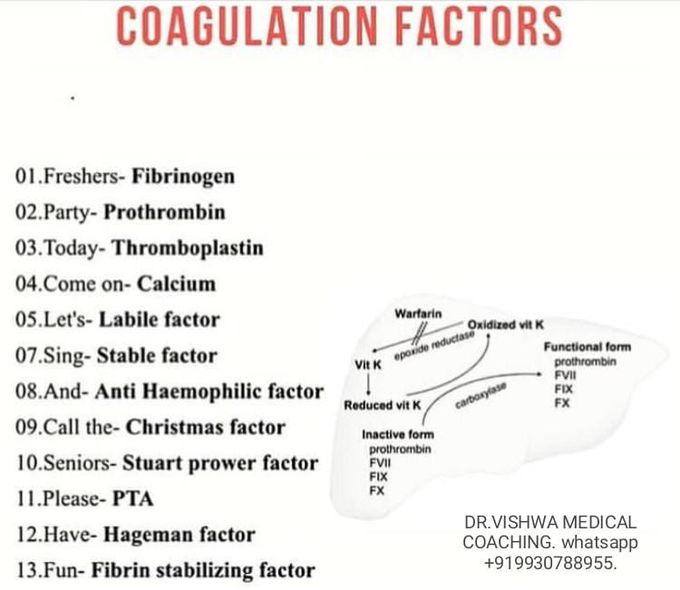 Coagulation factor