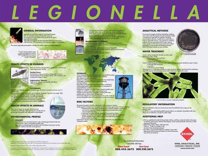 Legionella