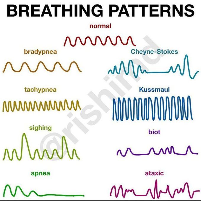 BREATHING PATTERNS - MEDizzy