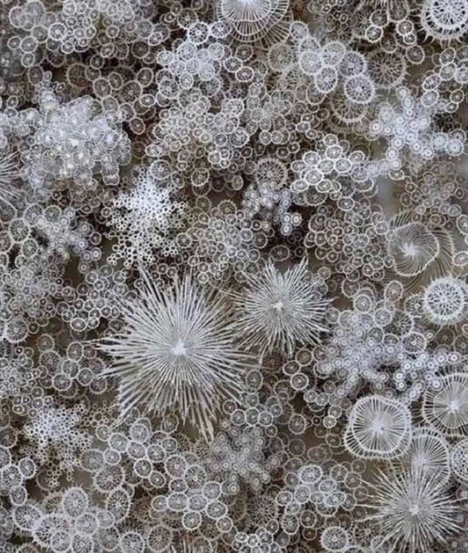 electron microscope images of snowflakes