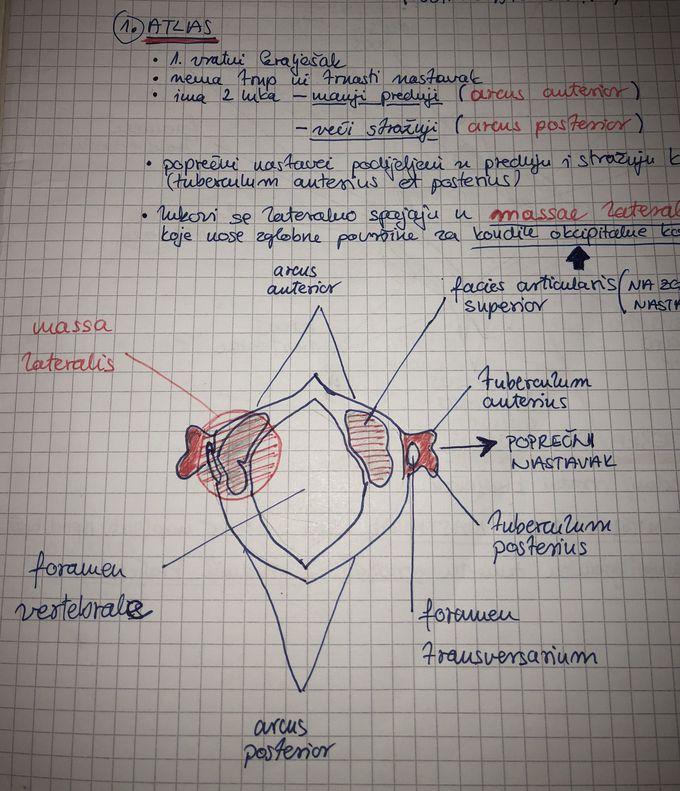 Atlas C1