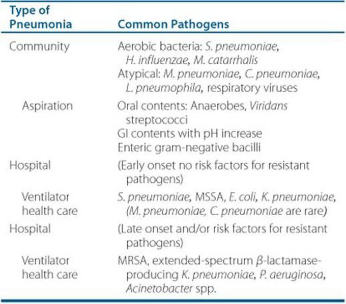 Pneumonia | Types and Common Causative Pathogens