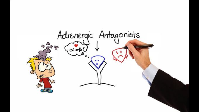 Adrenergic Antagonists: Overview