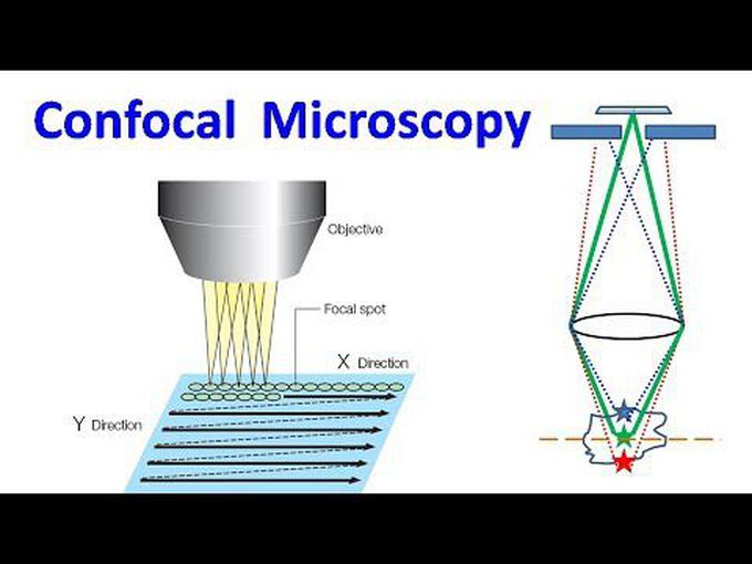 Animation- Confocal Microscopy