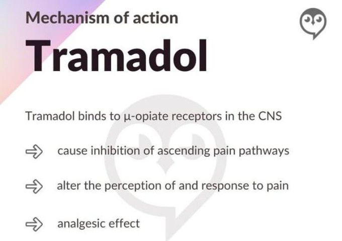 Mechanism of action of Tramadol