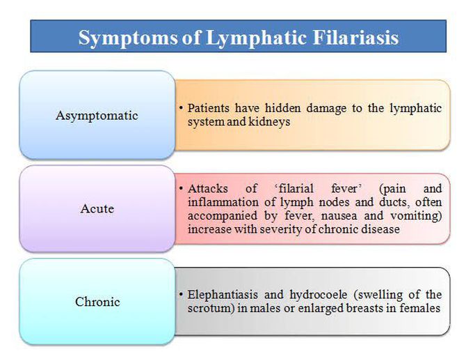 These are the symptoms of Lymphatic Filariasis