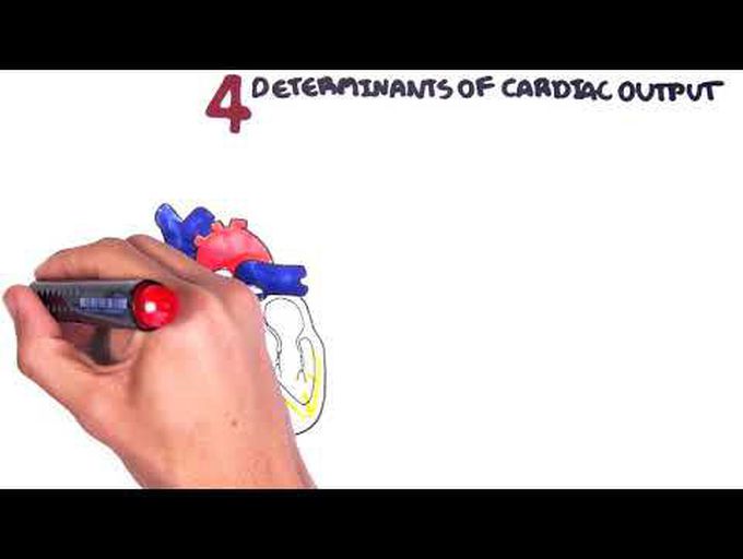 Cardiac output and factors affecting it