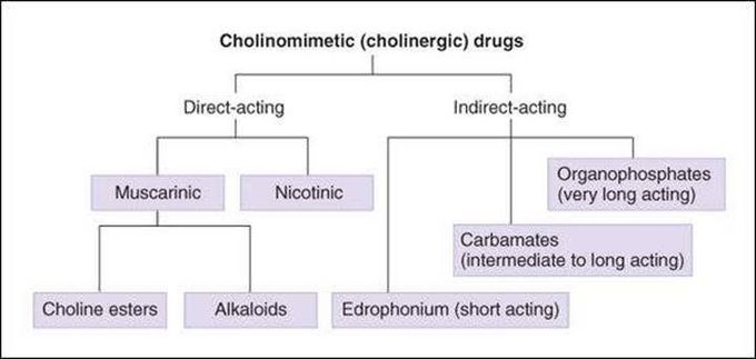 Cholinergic Drugs Classification