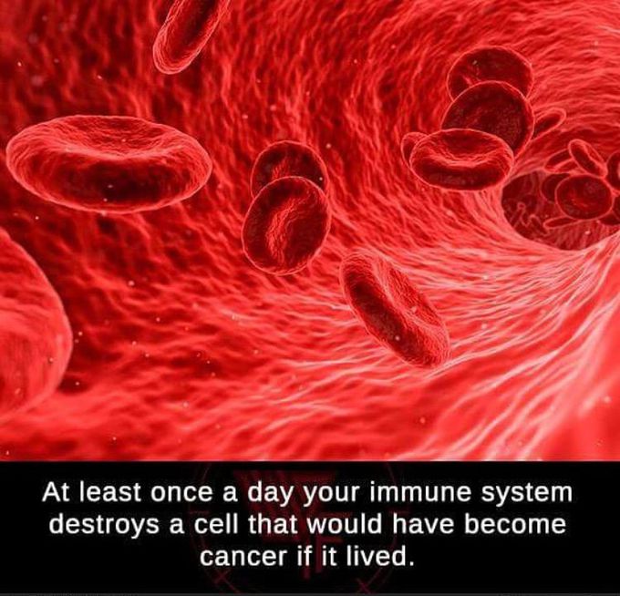 DO YOU KNOW..?