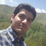 Mohammadreza