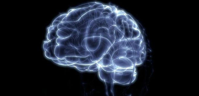Microdosing Magic Mushrooms Enhances Creativity, Problem Solving Abilities
