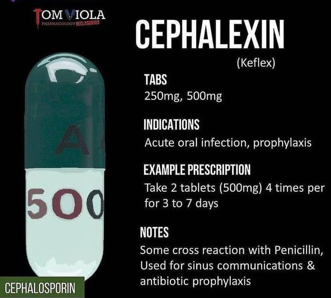 Cephalaxin
