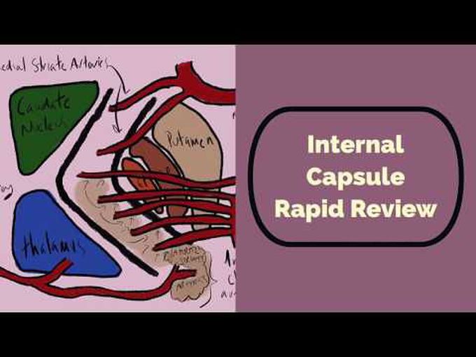A Summary of Internal Capsule and the Blood Supply
