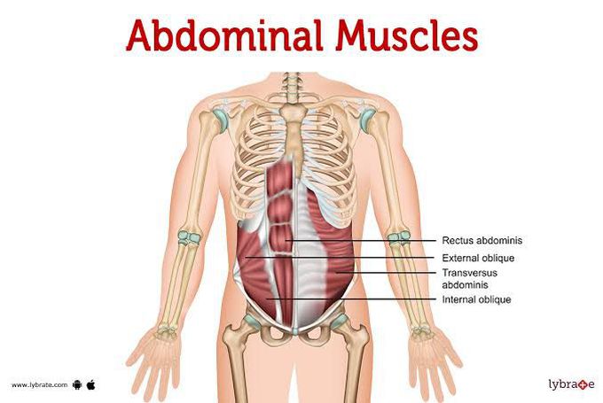 What condition affect the abdominal muscles?