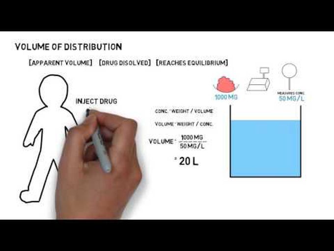 The volume of distribution of drugs - Whiteboard animation