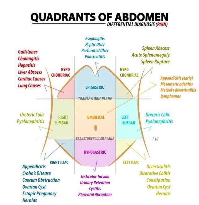 Quadrants of abdomen