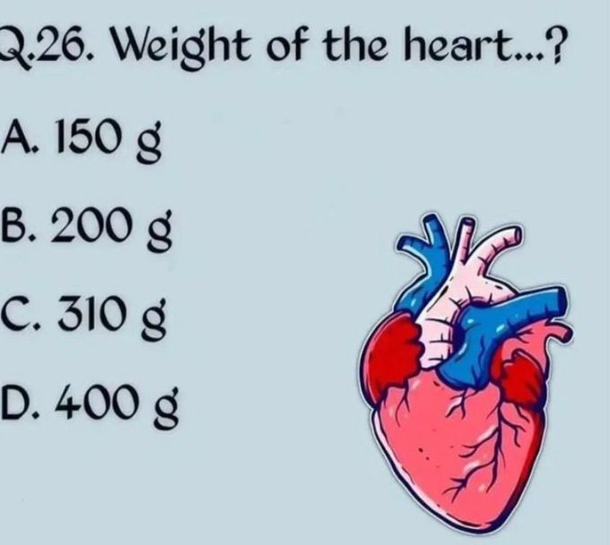 Weight of the Heart