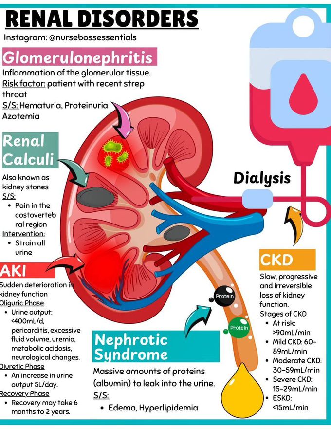 Renal Disorders