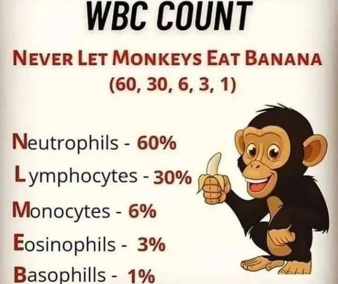 WBC COUNT