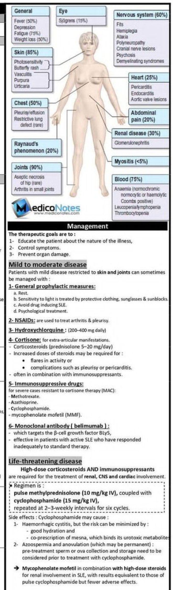 SLE-Management