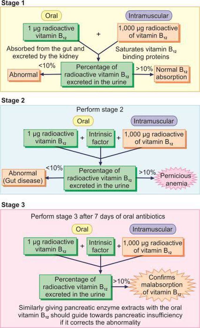 Schilling Test