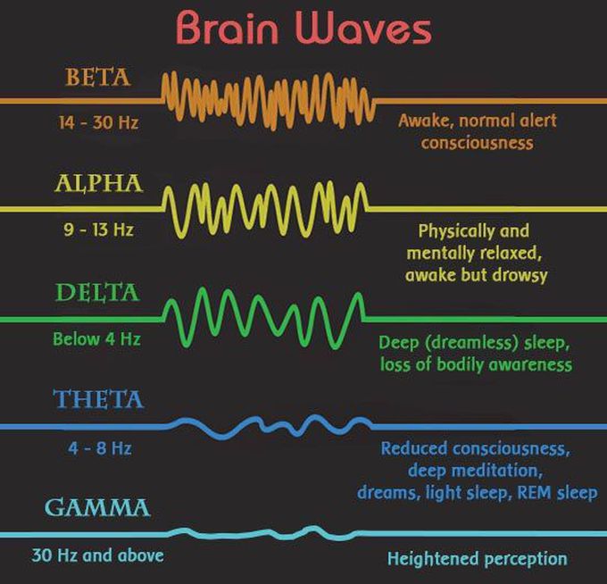 Brain Waves