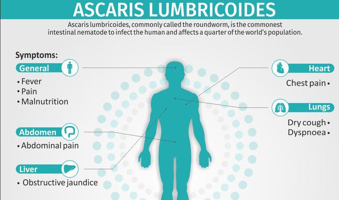 Symptoms of Ascaris