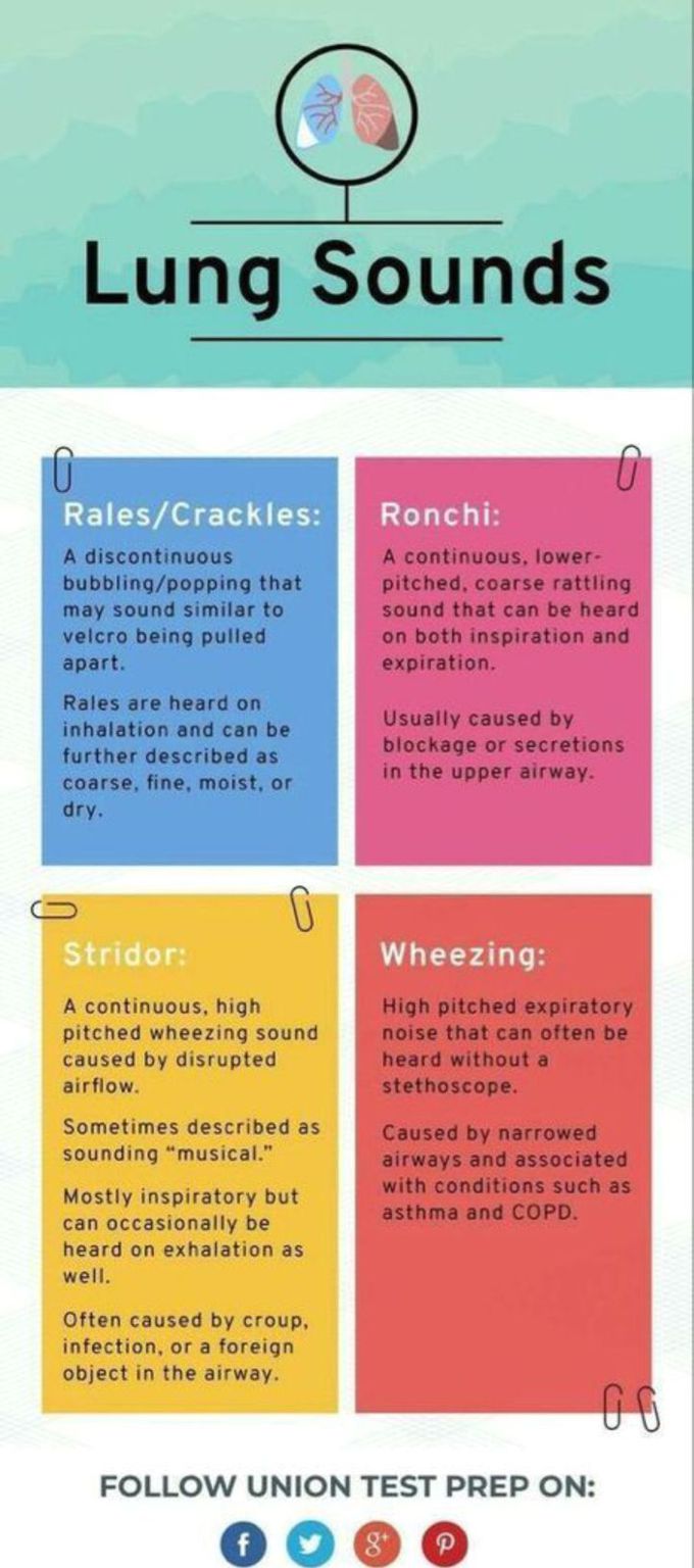 Lung sounds ! And their corresponding causes !