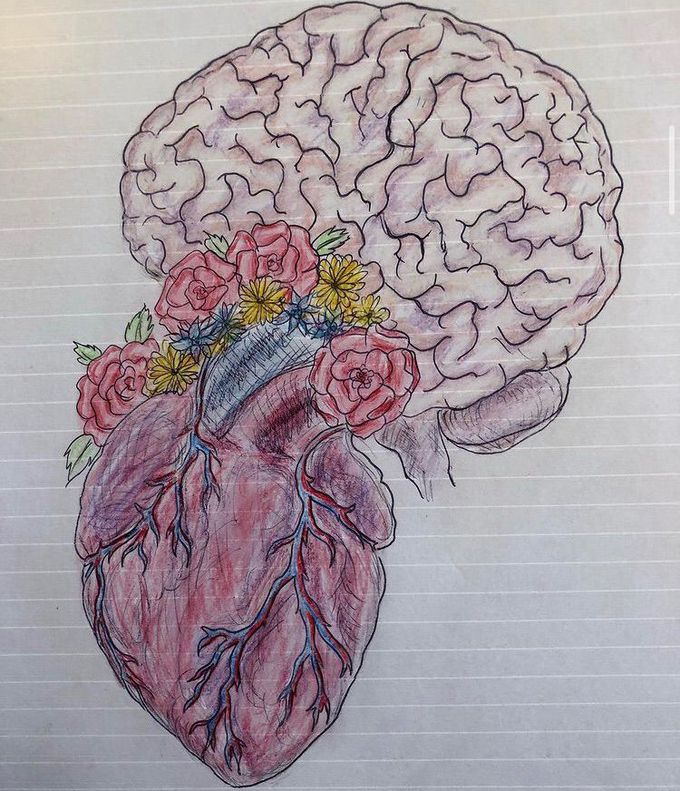 Anatomical drawing 🫀🧠